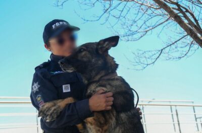 K9 Women 2026 Agents Security FSPE Service Development Guanajuato