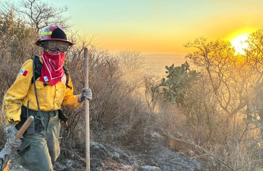 Women 2026: More women enroll in STEM majors