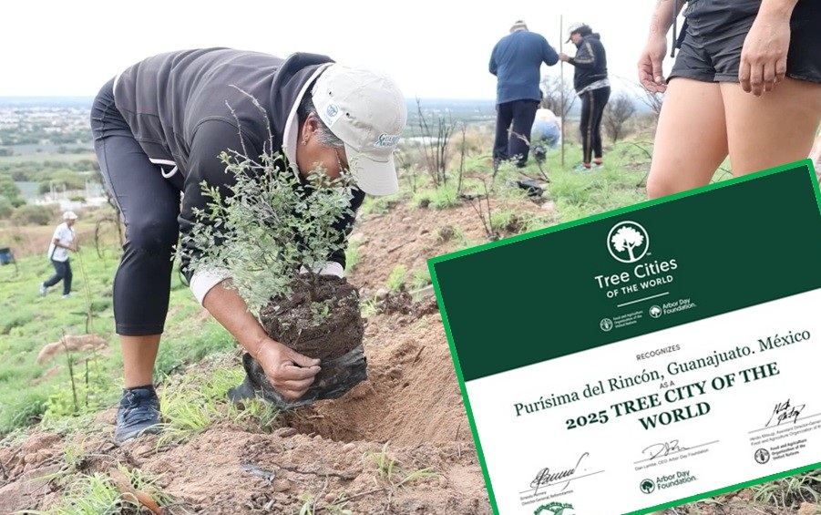 UN recognizes work of Purisima for the environment