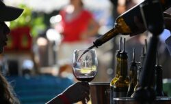Bacchus 2026 Guanajuato Medals Wine