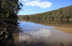 Dams Guanajuato Levels Water