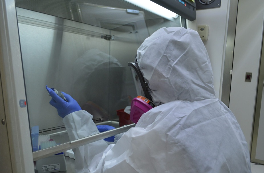 Health is on watch upon international Ebola outbreak