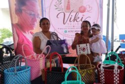 Guanajuato IECA Entrepreneurs Fair Purisima del Rincon