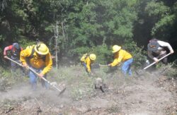 Fire Prevention FireBreakers Guanajuato
