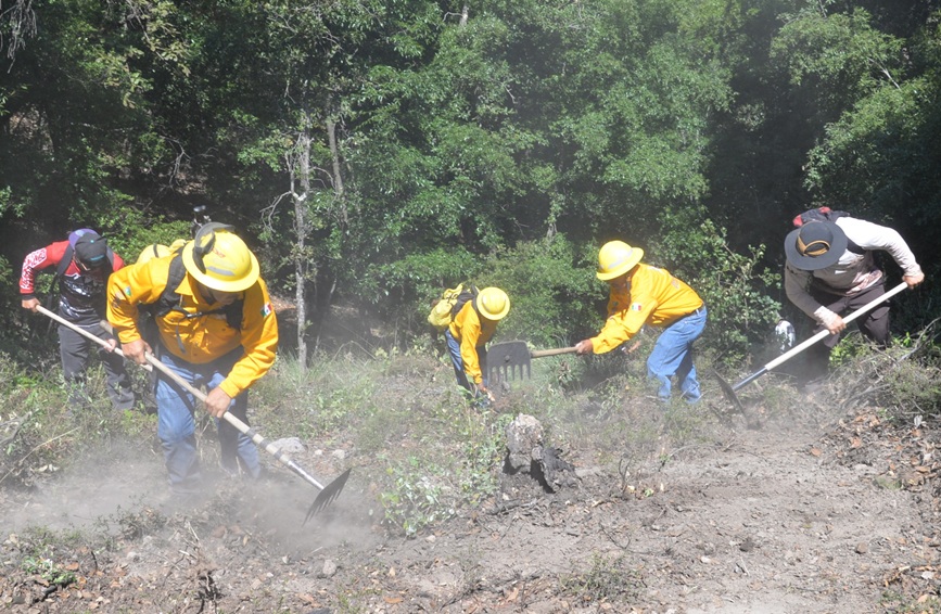 Crews strengthen the prevention of forest fires