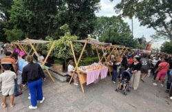Tianguis Entrepreneurship Purisima del Rincon Guanajuato