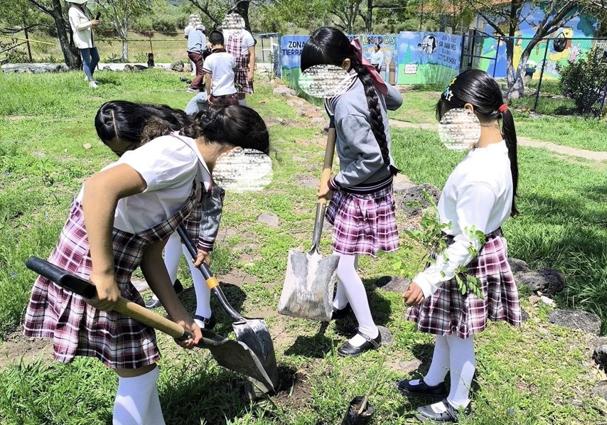 Tree planting campaign in Guanajuato has begun