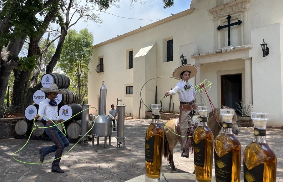 Purisima is ready for the Festival of Agave and its Roots Purisima is ready for the Festival of Agave and its Roots