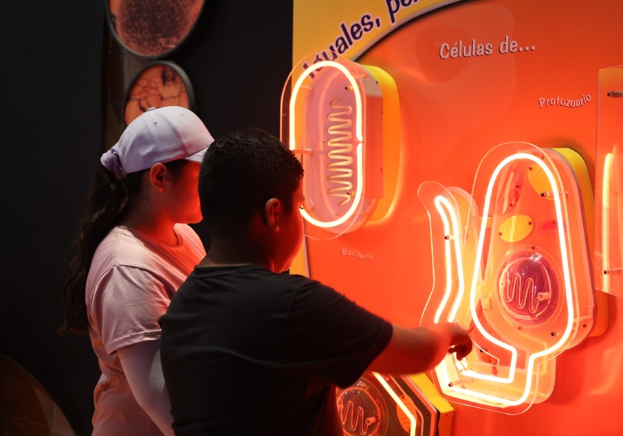 A step ahead for Purisima´s New Environmental Museum