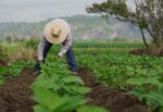 Farmers Financing Tu Puedes Guanajuato
