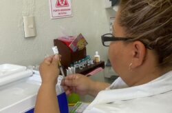 Protection Health Guanajuato Vaccination Coverage