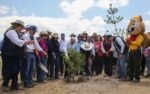 Reforestation Governor Trees Planting National Campaign