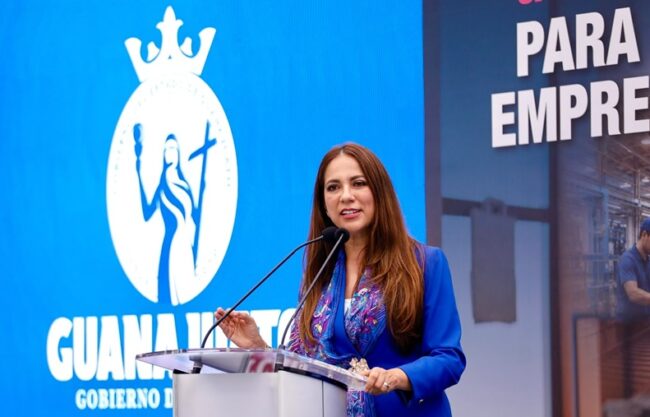 Guanajuato Marca Guanajuato International Suma Growth Development 1