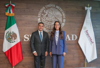 Guanajuato Federal Government Coordination Security