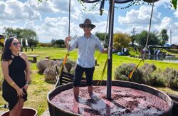 Guanajuato Vendimias Wine Harvest 2026