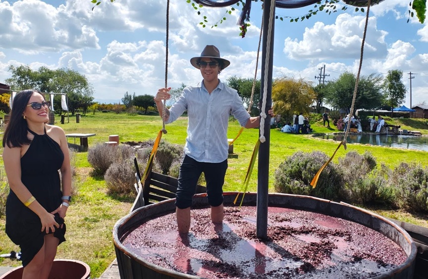 Guanajuato opens its vineyards to the world