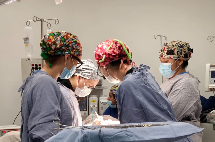 Organ procurement saves lives Organ procurement saves lives