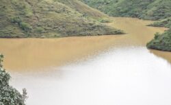 Dams Guanajuato Reservoirs Water Rain