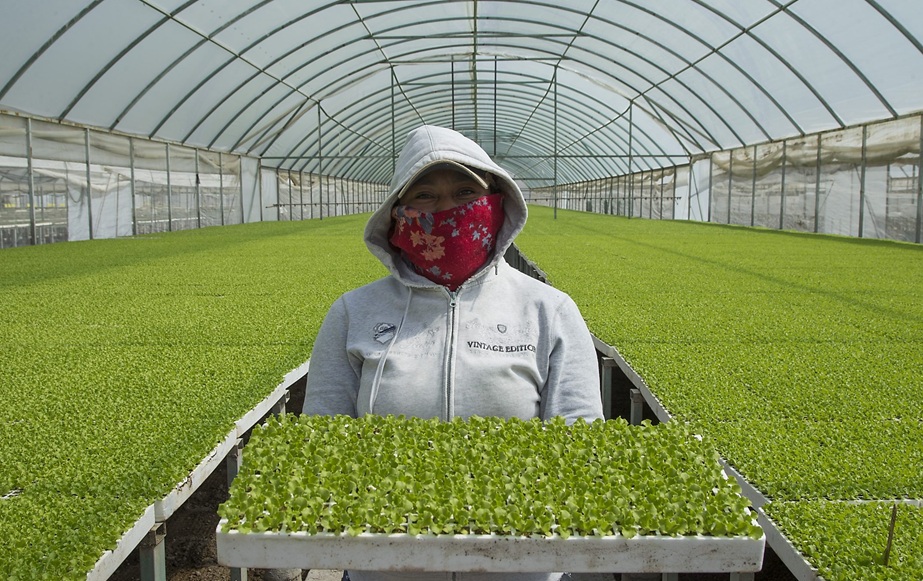 New opportunities for farmers are created in McAllen, Texas
