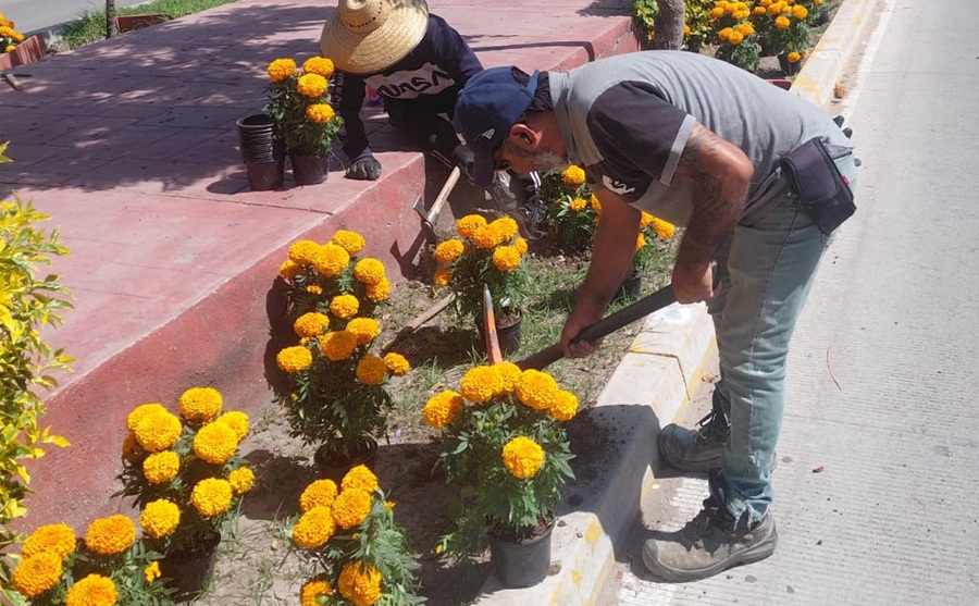 Purisima is decorated for Day of the Dead