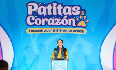 Guanajuato Animal Protection Patitas y Corazón