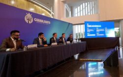 Guanajuato Leon Investment Public Projects Bridge